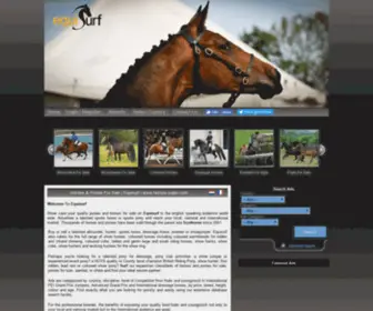 Sport-Horses.org(Horses & Ponies For Sale) Screenshot