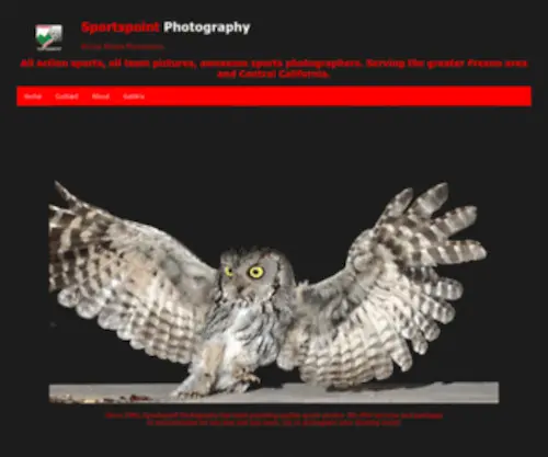 Sportspoint.com(All action sports photography by Sportspoint) Screenshot
