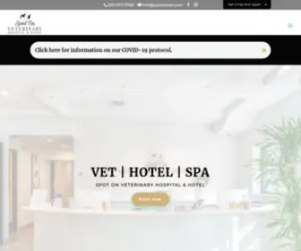 Spotonvet.com(Stamford Veterinarian) Screenshot