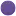 Spotviolet.com Favicon