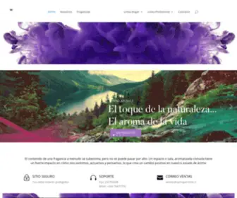 Springairchile.cl(Spring Air Chile) Screenshot