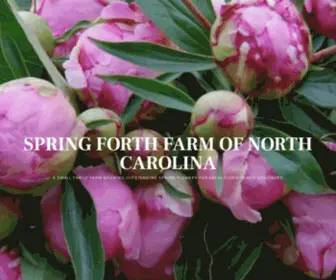 Springforthfarmnc.com(A small family farm growing outstanding spring flowers for local florists and designers) Screenshot