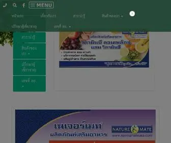 Springmateusa.com(SPRINGMATEUSA Thailand) Screenshot