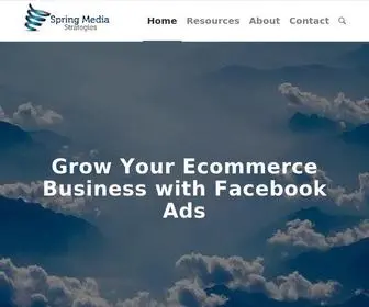 Springmediastrategies.com(Facebook Ad Strategy for Ecommerce) Screenshot