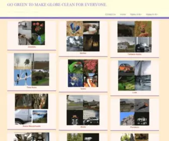 Springthymeny.com(Go green to make globe clean for everyone) Screenshot