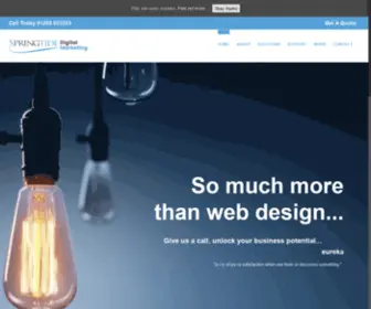 Springtide-Associates.com(Springtide Associates) Screenshot