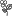 SpringValleycoffee.com Favicon