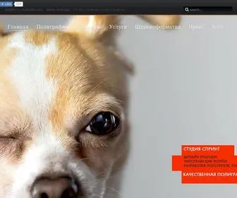 Sprint-NN.ru(Студия Спринт) Screenshot
