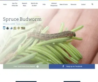 Sprucebudwormmaine.org(Spruce Budworm Maine) Screenshot