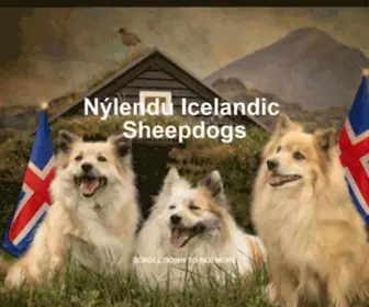 Spurdann.com(Nylendu Icelandic Sheepdogs) Screenshot