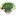 Squamata.it Favicon