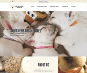 Squareheadskennel.com(Breeders of quality French Bulldogs) Screenshot