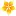 Squashandblossom.com Favicon