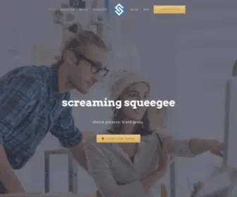 Squeegee.com(Screaming Squeegee) Screenshot