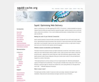 Squid-Cache.org(Optimising Web Delivery) Screenshot