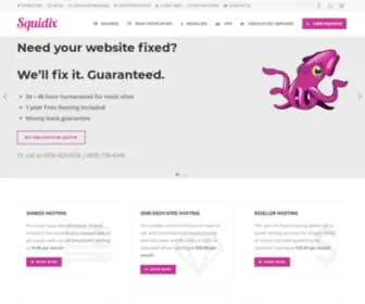 Squidix.com(Web Hosting) Screenshot