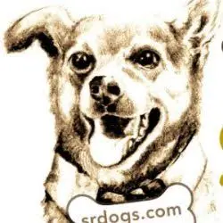 Srdogs.com Favicon