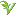 Srivasanthabhavan.com Favicon