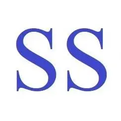 SSengineering.com.hk Favicon