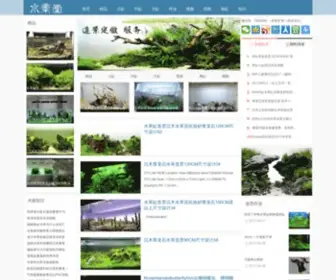 SSJJTT.com(水草造景) Screenshot