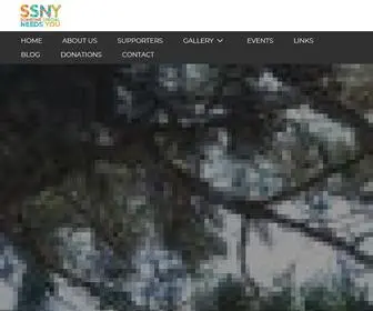 SSNY.org(SSNY (Someone Special Needs You)) Screenshot