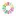 Stacysummers.com Favicon