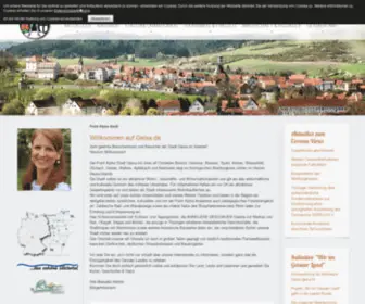 Stadt-Geisa.org(Stadt Geisa / Rhön) Screenshot