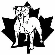 Staffordcanada.com Favicon