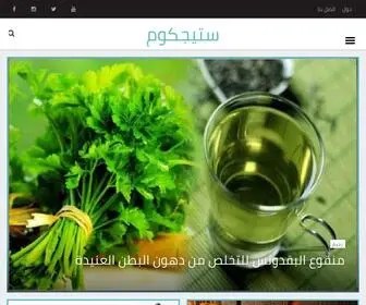 Stagcom.com(ستيجكوم) Screenshot