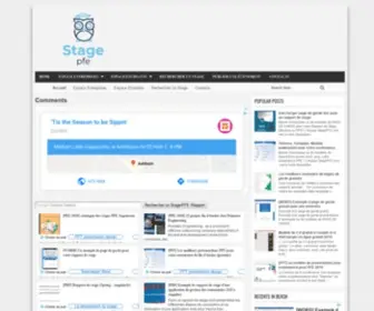 Stagepfe.com(Exemple de CV gratuit) Screenshot