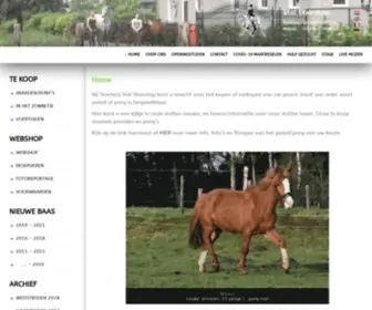 Staldoorstap.nl(Paarden africhtingsstal) Screenshot