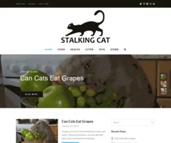 Stalkingcat.net(Stalking Cat) Screenshot