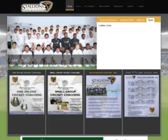 Stallionsqatar.com(Stallions cricket academy) Screenshot