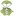 Standringfis.com Favicon