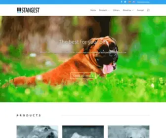 Stangest.com(STANGEST) Screenshot