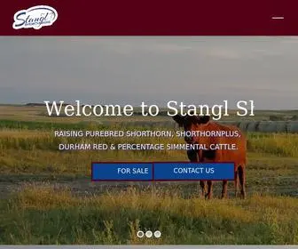 Stanglshorthorns.com(Bringing you our best and brightest) Screenshot