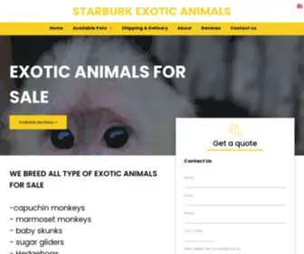 Starburkexotics.com(Exotic animals for sale) Screenshot