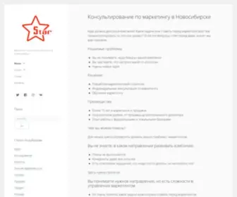 Starc.ru(Консультирование по маркетингу в Новосибирске) Screenshot