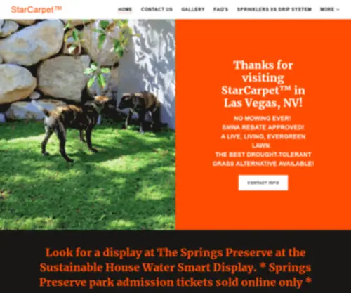 Starcarpetlv.com(StarCarpetLV, Drought Tolerant Landscape Starcarpet) Screenshot