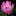 Starcrystalportal.com Favicon