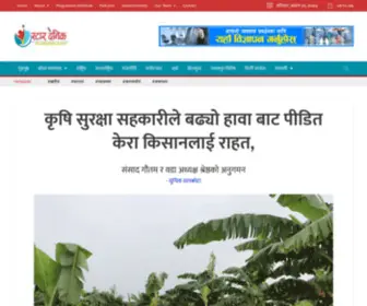 Stardainik.com(Star Dainik) Screenshot