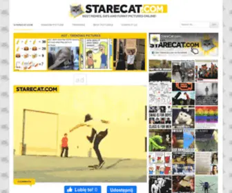 Starecat.com(Funny lolcontent from) Screenshot