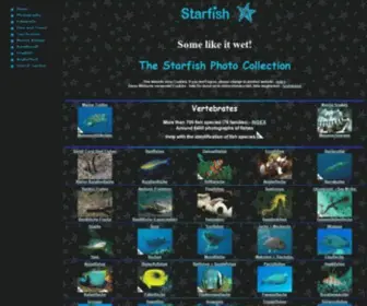 Starfish.ch(Zubi's wetpage) Screenshot