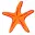 Starfishboat.com Logo