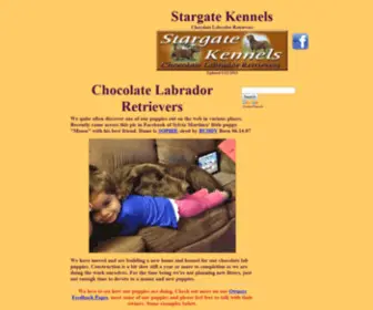 Stargatekennels.com(Chocolate Labrador Retrievers at Stargate Kennels) Screenshot