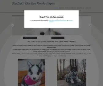 Starlightpomskies.com(Star Light Pomsky Puppies) Screenshot