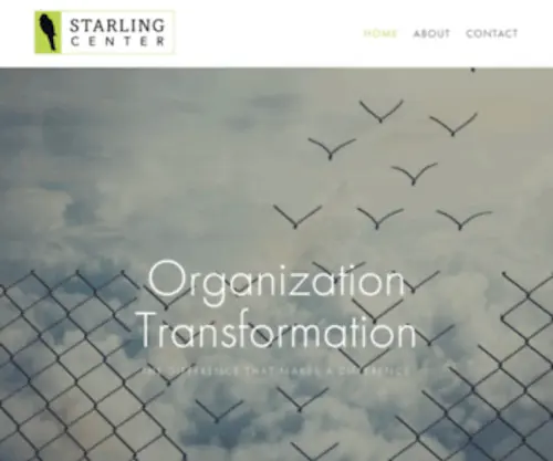 Starlingcenter.org(Leadership Development) Screenshot