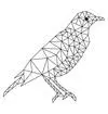 Starlingmag.com Favicon