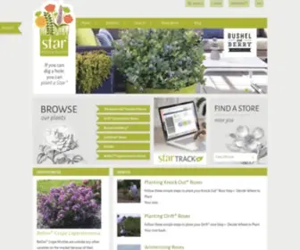 Starrosesandplants.com(Bringing Great Plants to the World’s Gardens®) Screenshot