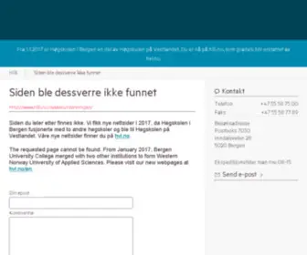 Statens-DYkkerskole.no(Dykkerutdanningen) Screenshot